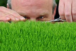 Kopf eines Mannes hinter einem Stück Rasen, das er mit einer Nagelschere schneidet.